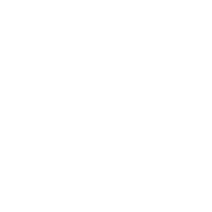 MAXVEC